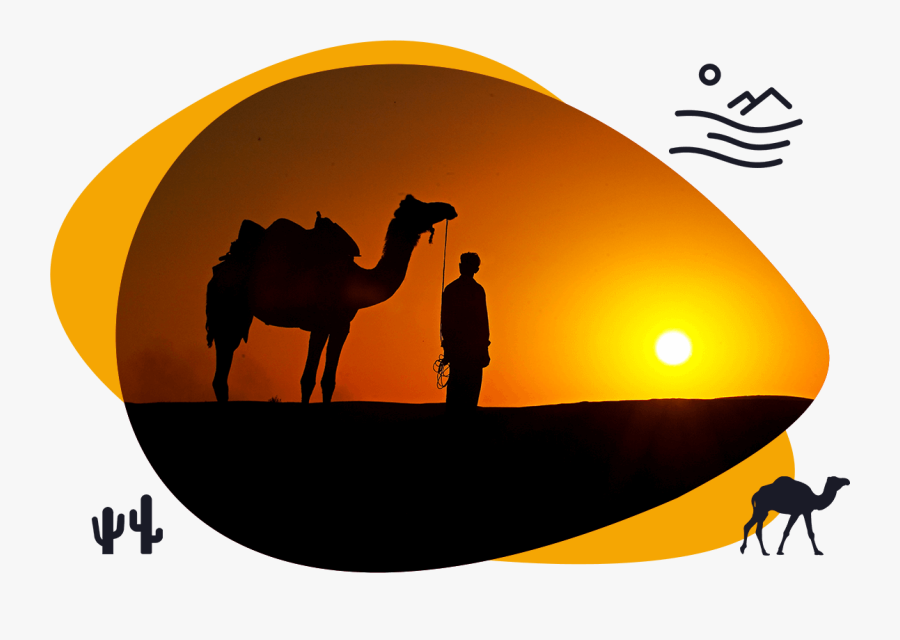 Transparent Camel Silhouette Png - Desert Safari Clipart Png, Transparent Clipart