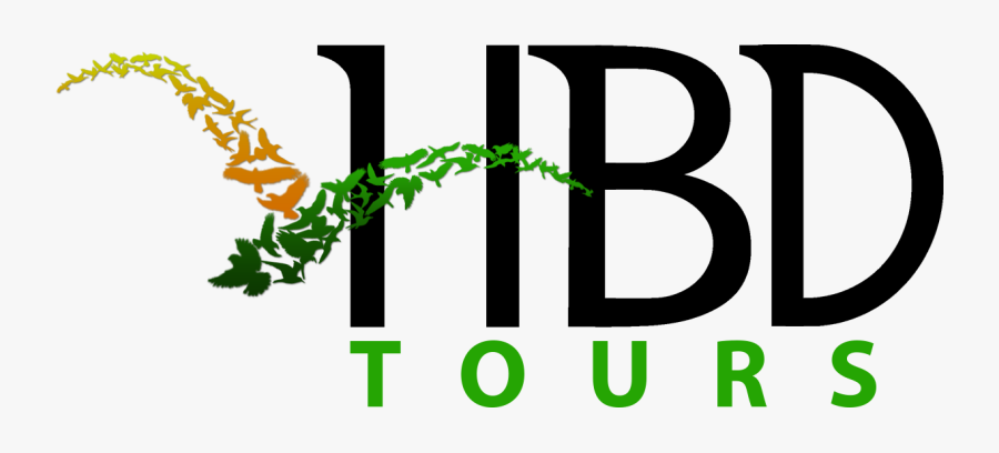 Hire Bali Driver - Graphic Design, Transparent Clipart