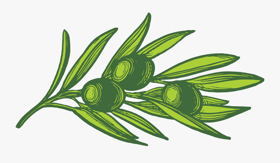 Graphic Element - Illustration, Transparent Clipart