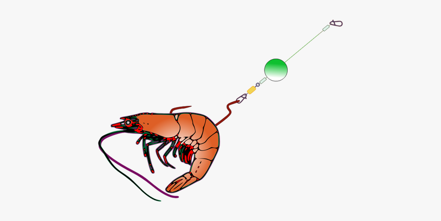 Fishing Bait With Shrimp - Bait For Fishing Clipart, Transparent Clipart