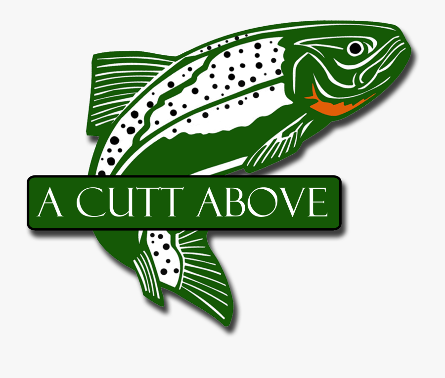 Brown Trout, Transparent Clipart