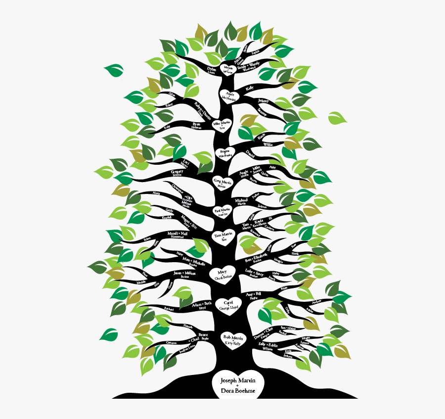 Family Tree With Branches, Transparent Clipart