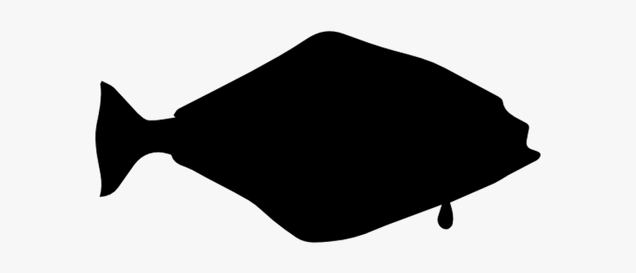Halibut Fish Shape Comments - Top Hat Silhouette Vector, Transparent Clipart