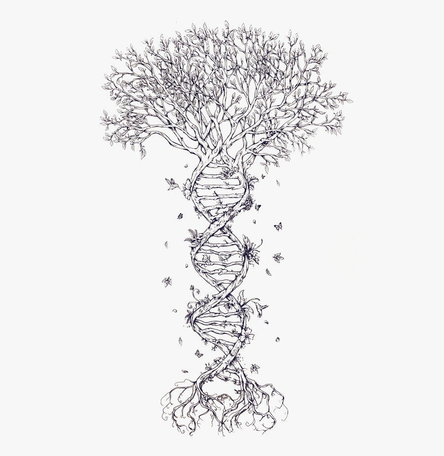 Dna Symbols And Family Trees