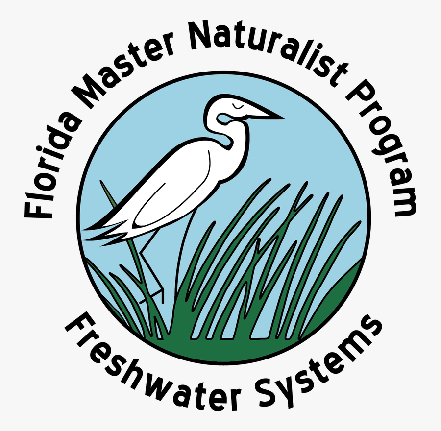 Picture - Florida Master Naturalist, Transparent Clipart