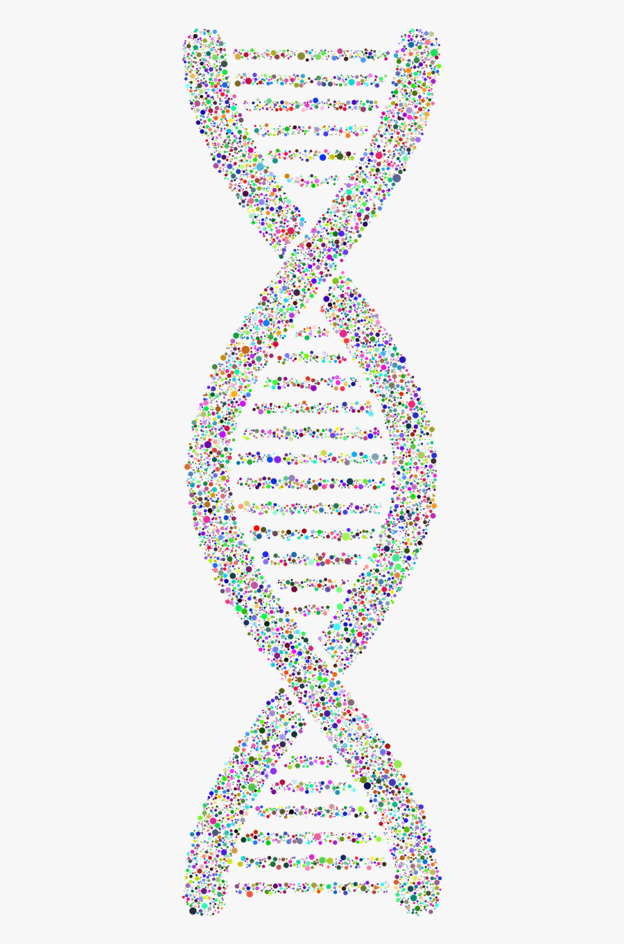 Dna Helix Circles Free Picture - Dna, Transparent Clipart