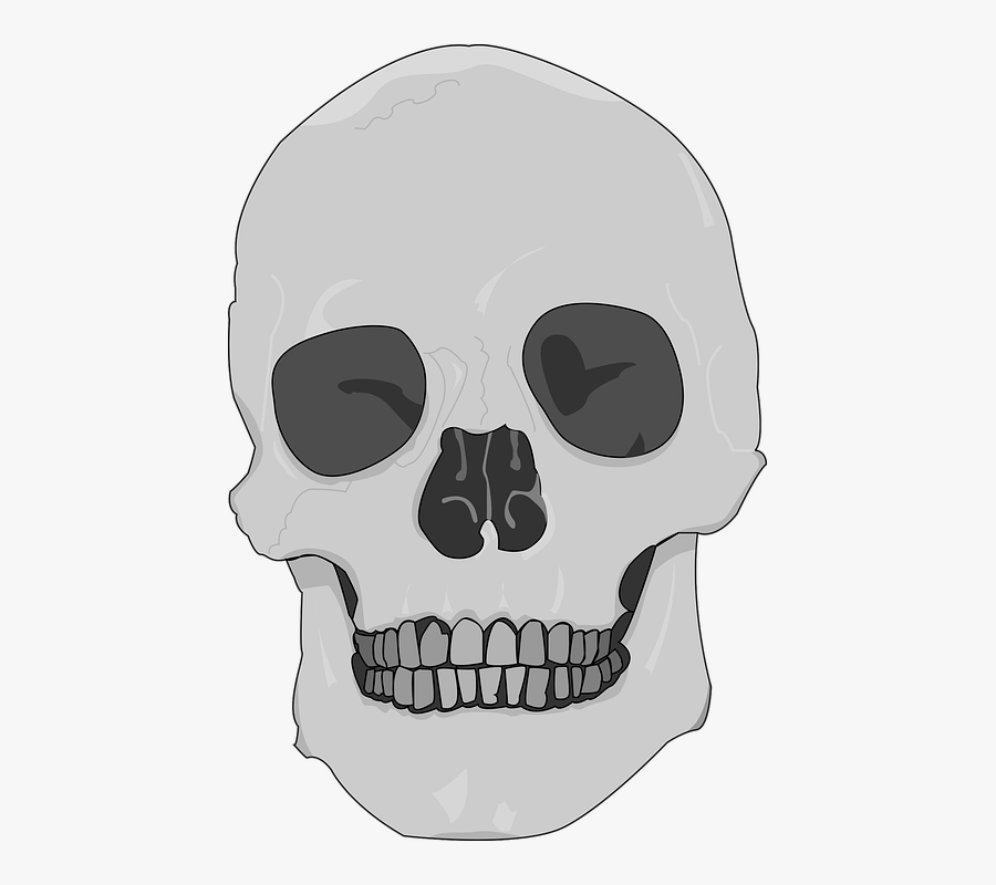 Skull, Black And White Skull, Death, Gothic, Dark - Skull, Transparent Clipart