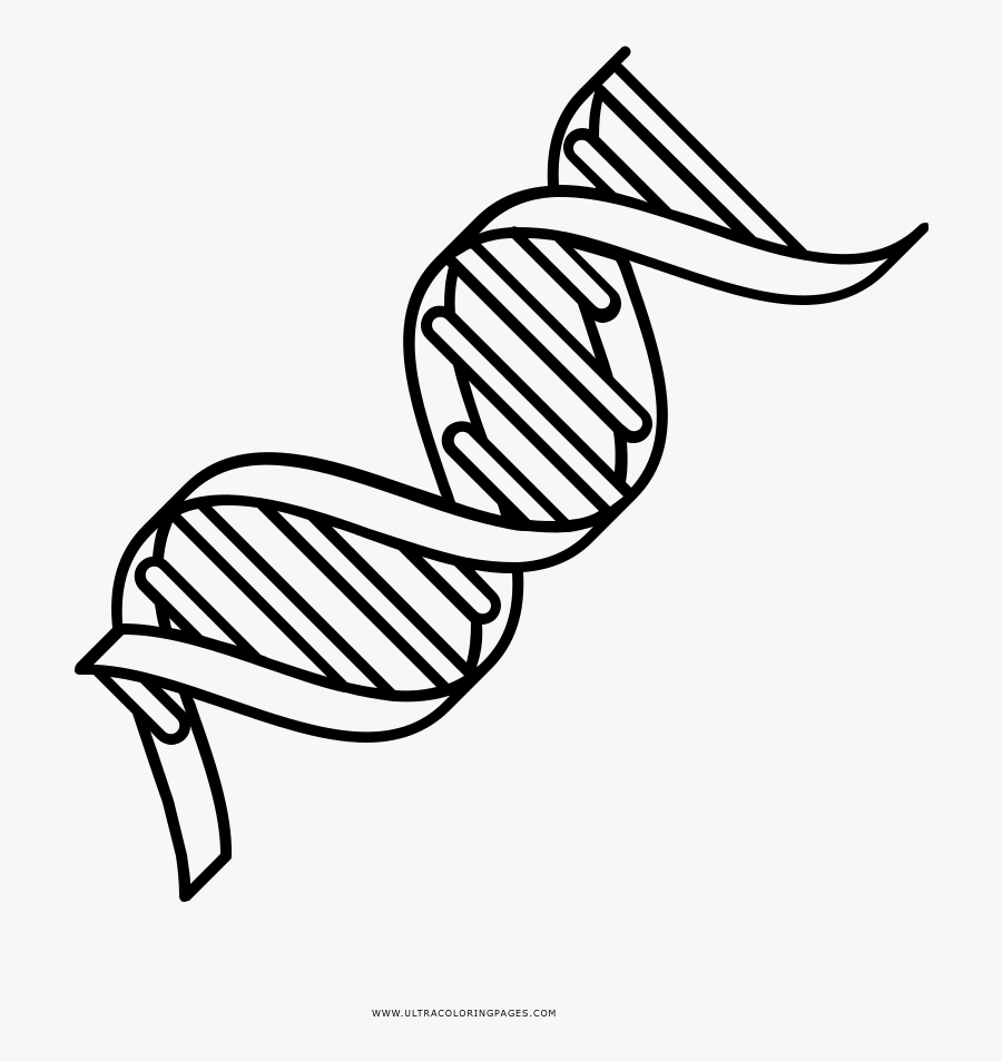 Dna Coloring Page - Dupla Helice Dna Para Colorir, Transparent Clipart