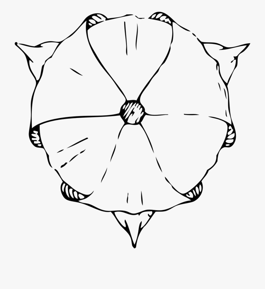 Tulip Top View Svg Clip Arts - Tulips Top View Sketch, Transparent Clipart