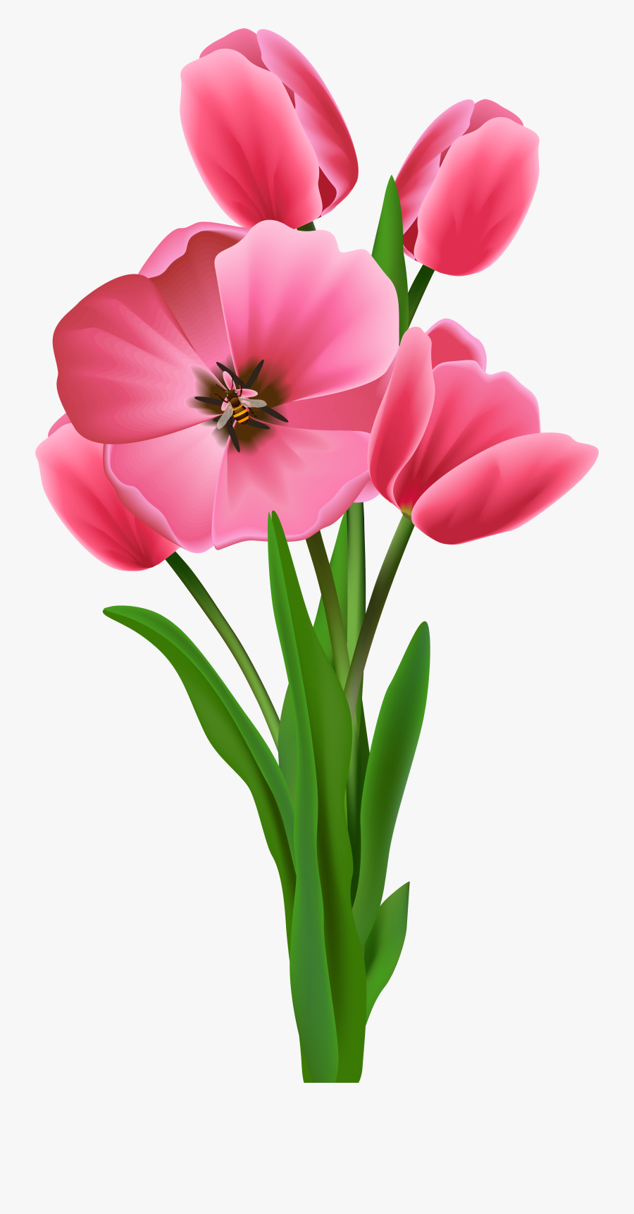 Tulip Transparent Vintage - Prayers Happy New Month Messages, Transparent Clipart