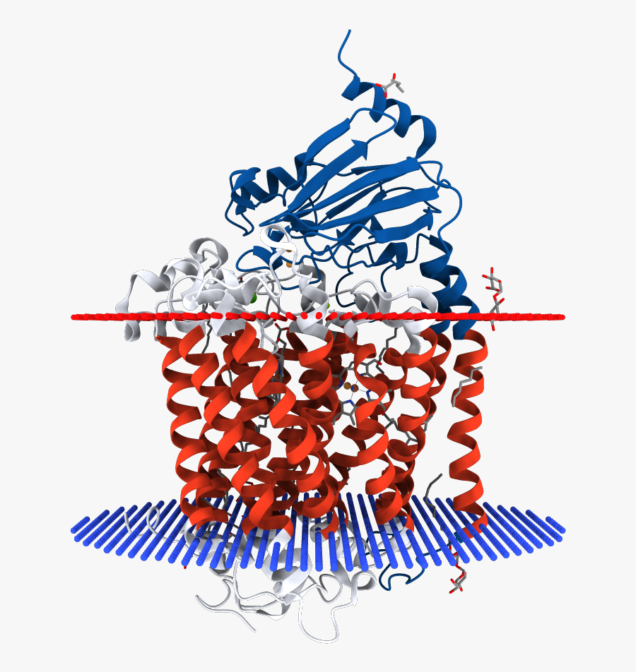 Graphic Design, Transparent Clipart