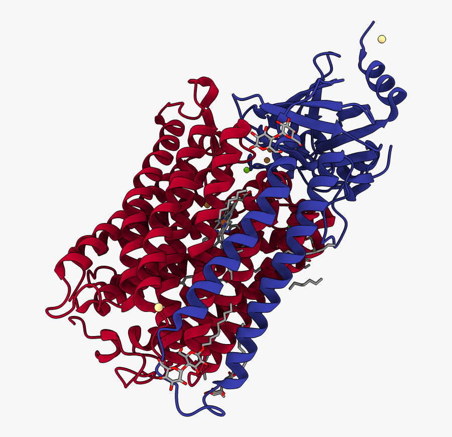 Illustration, Transparent Clipart