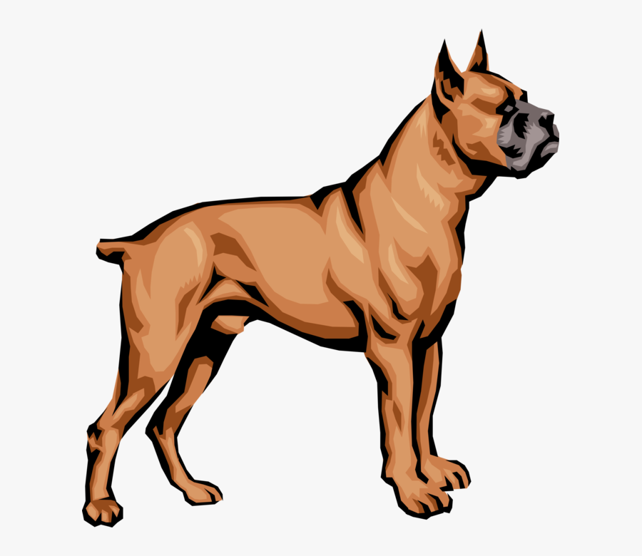Vector Illustration Of Family Pet Brindle Boxer Dog Boxer Dog Cool