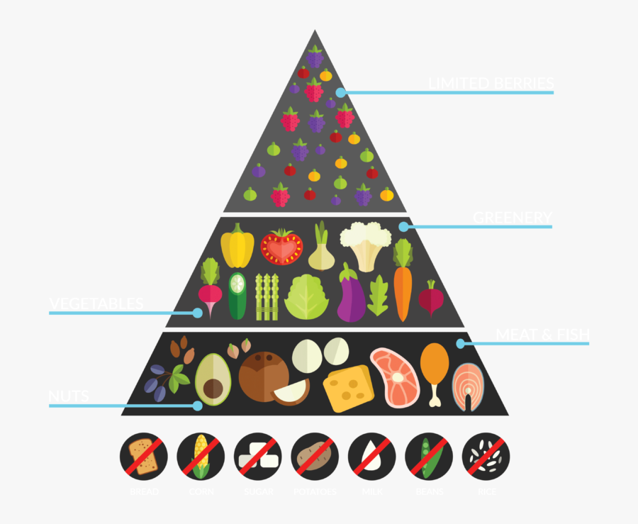 Clip Art Keto Diet Food Pyramid - Keto Diet Food Chain, Transparent Clipart