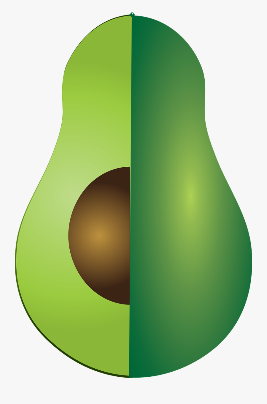Aguacate Vector Png, Transparent Clipart