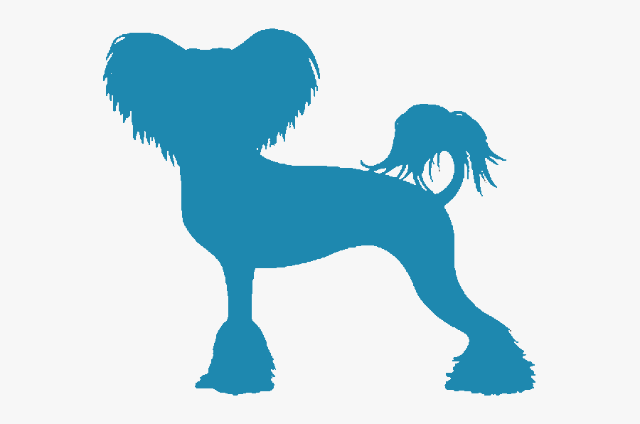 Chinese Crested - Dog Catches Something, Transparent Clipart