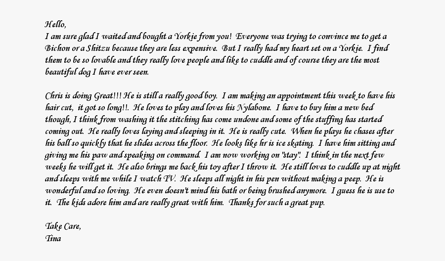 Document, Transparent Clipart