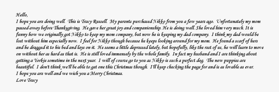 Document, Transparent Clipart