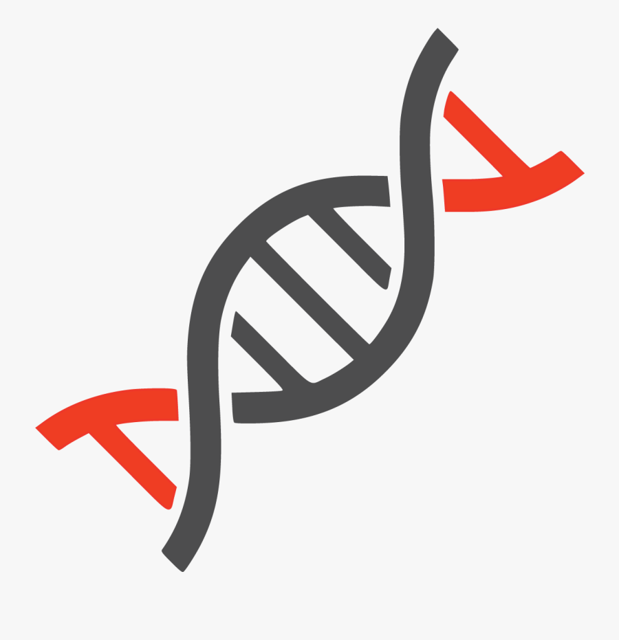 Transparent Background Dna Clipart, Transparent Clipart