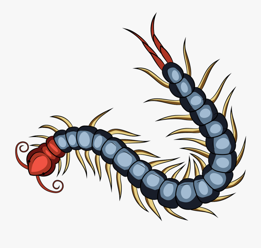 Millipedes, Transparent Clipart