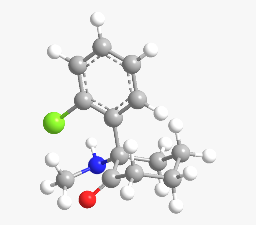 Circle, Transparent Clipart
