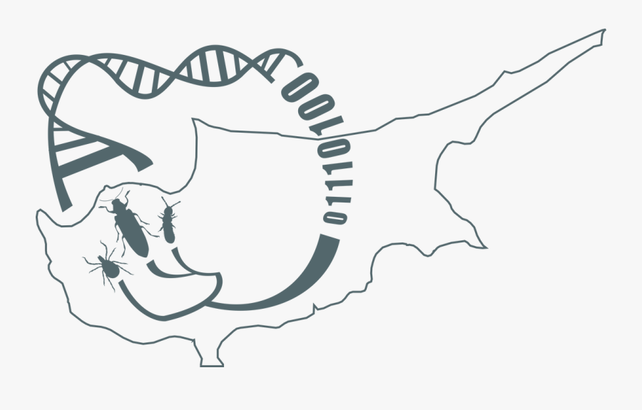 Picture - Illustration, Transparent Clipart