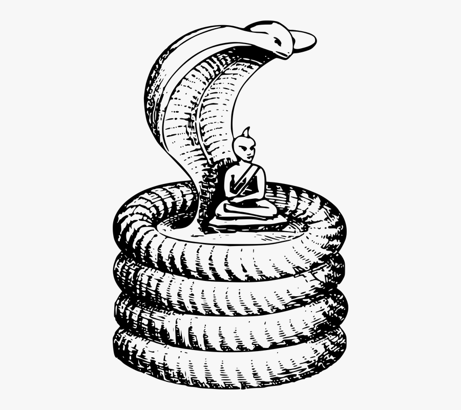 Buddha, Cobra, Reptile, Sage, Snake - Snake Art Png, Transparent Clipart