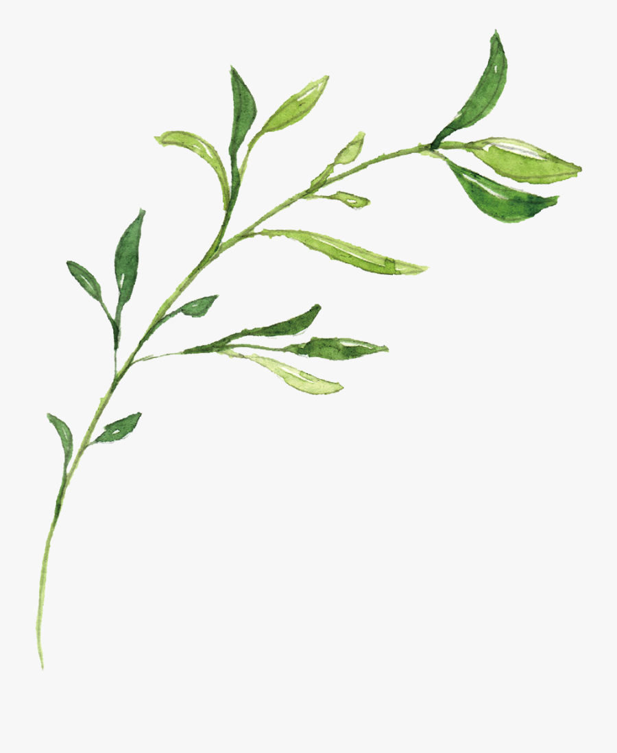 Clip Art Hand Drawn Leaves - Hand Drawn Leaf Png, Transparent Clipart