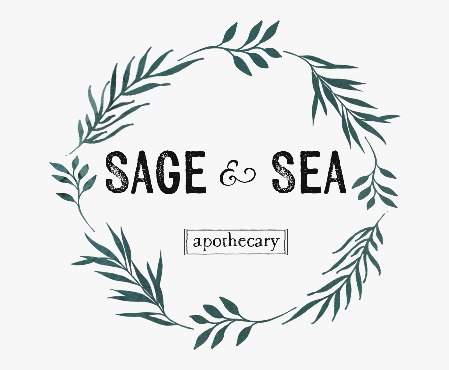 Wand Transparent Spruce, Transparent Clipart