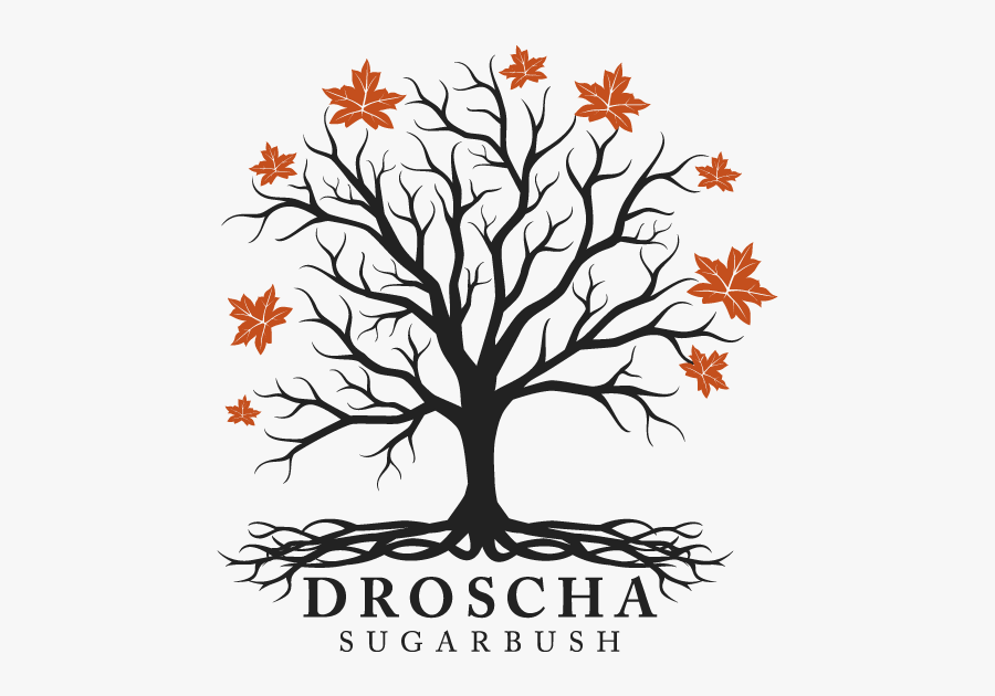 Home Droscha Sugarbush - Tree Root Svg, Transparent Clipart