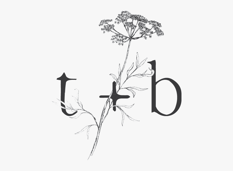Twig And Briar Submark Gray - Silhouette, Transparent Clipart