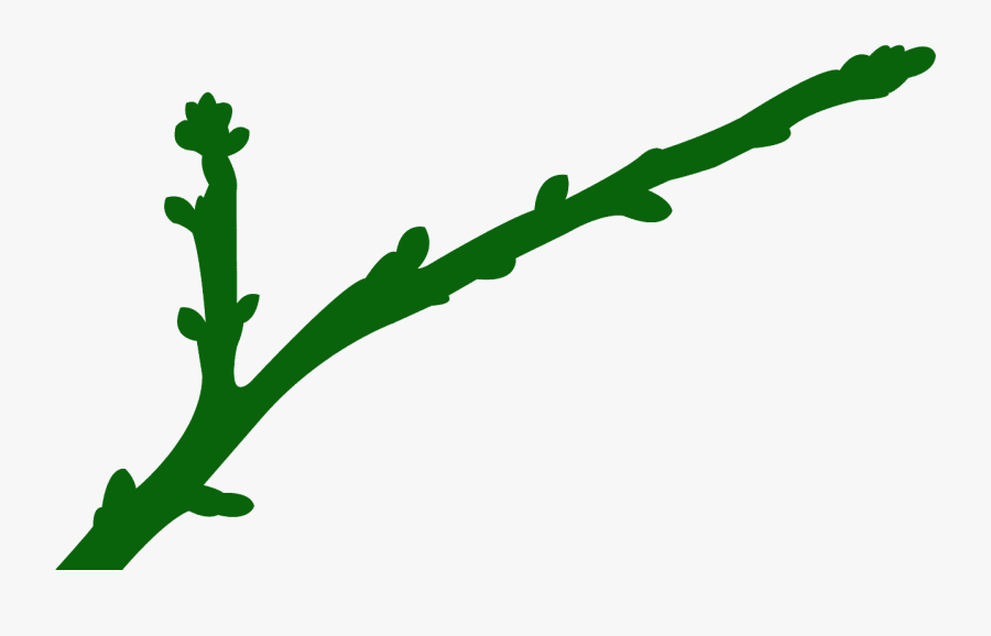 Scalable Vector Graphics, Transparent Clipart