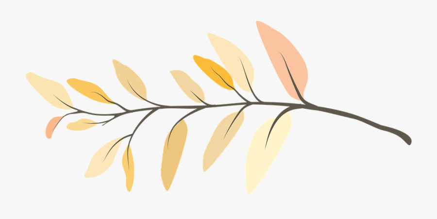 Branch, Flower, Twig, Spring, Bloom, Nature, Tree - Illustration, Transparent Clipart