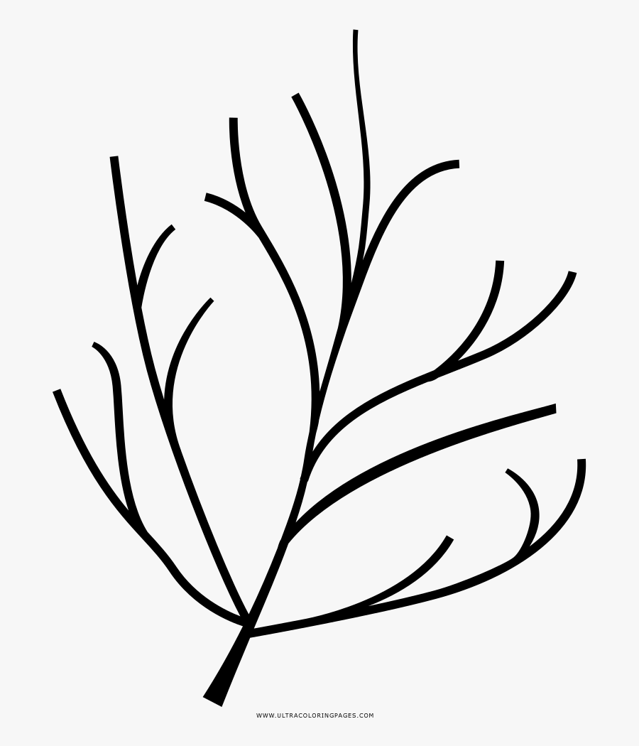 Twig Coloring Page - Twigs Icon, Transparent Clipart