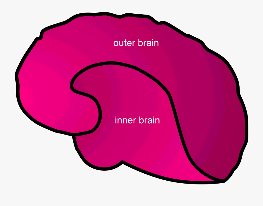 Inner Vs Outer Brain, Transparent Clipart