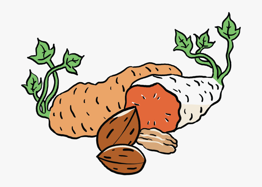 Clip Art, Transparent Clipart