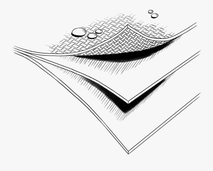 Fundamentos Del Diseño, Transparent Clipart