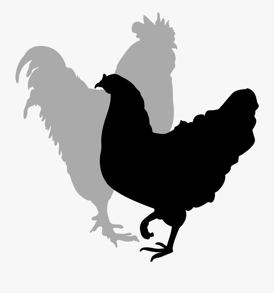 Rooster Silhouette Clip Art - Hen Silhouette, Transparent Clipart