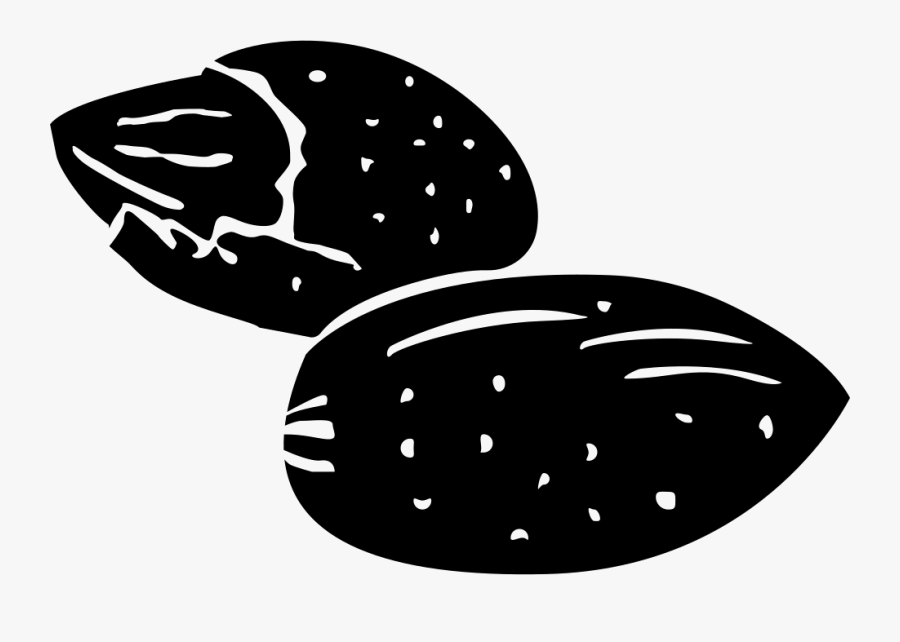 Pecan - Illustration, Transparent Clipart