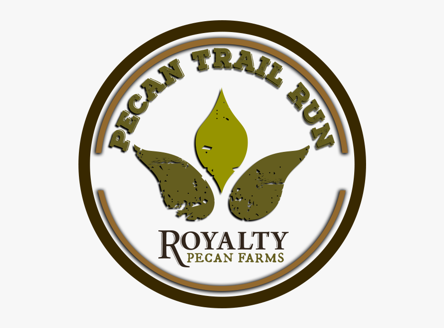 Circle, Transparent Clipart