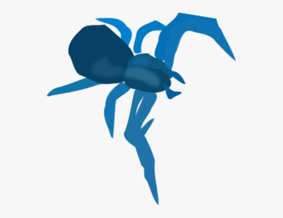 Spider, Transparent Clipart