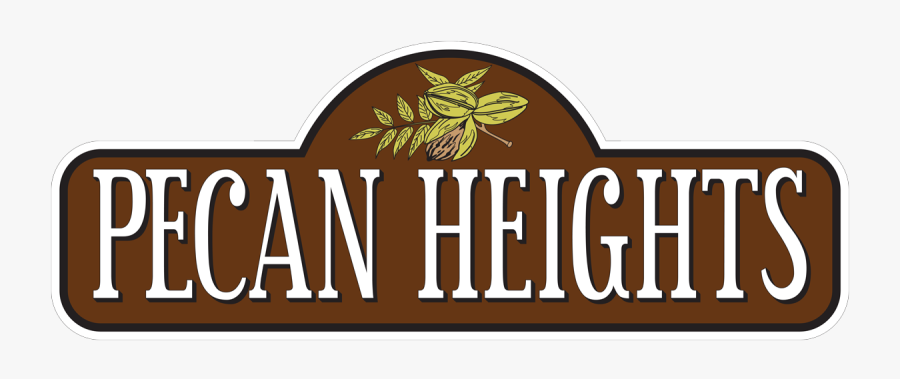 Graphic Design, Transparent Clipart