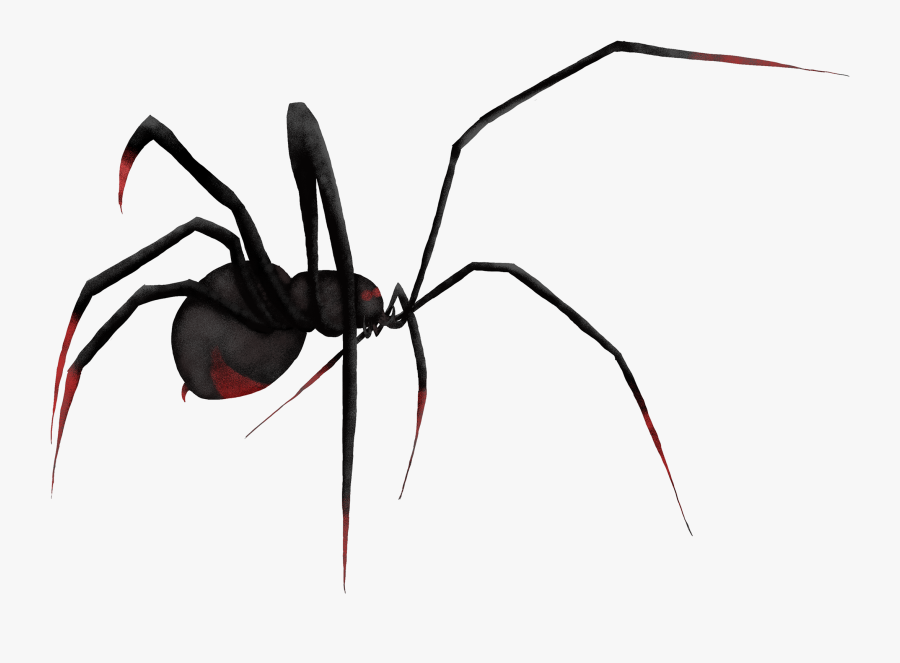 Black Widow, Transparent Clipart