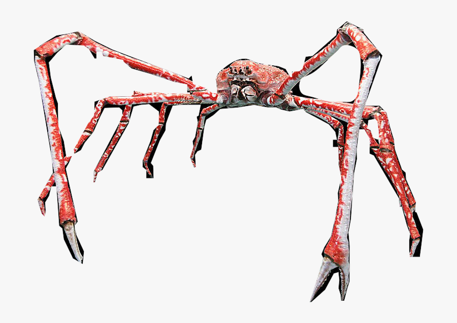 Japanese Spider Crab Png Clipart , Png Download - Japanese Spider Crab Cartoon, Transparent Clipart