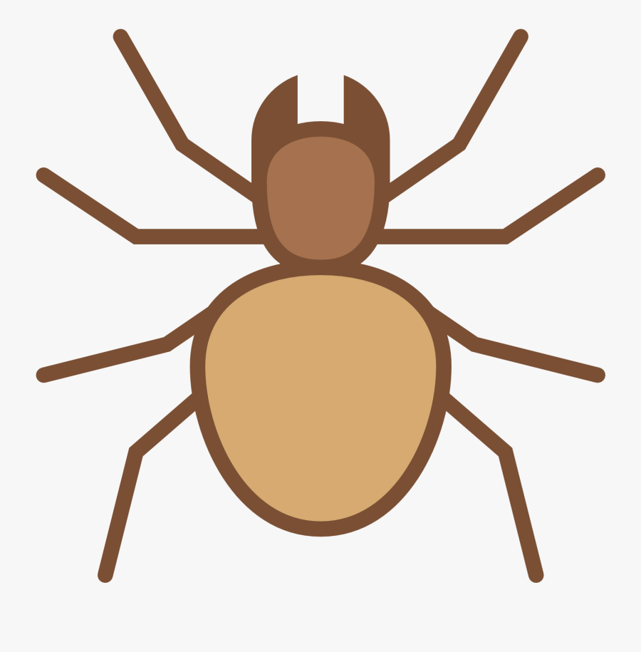 Transparent Colorful Spiders Clipart - Weevil, Transparent Clipart