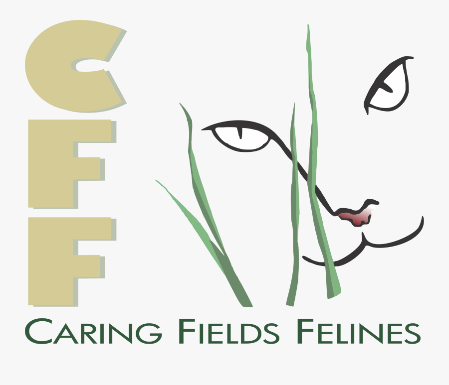 Caring Fields Felines - Caring Fields Felines Palm City Fl, Transparent Clipart