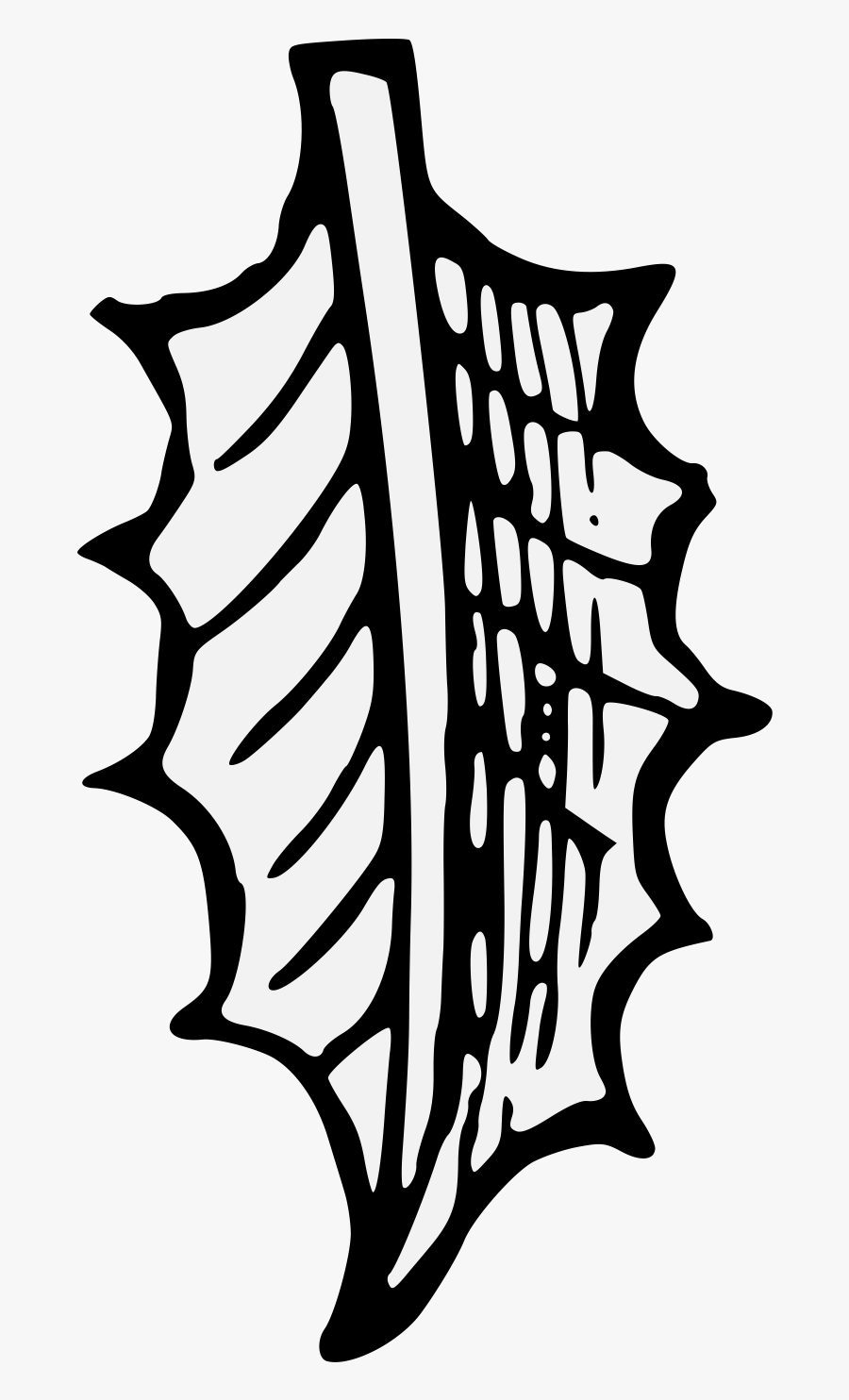 Holly Leaf Drawing At - Tipo De Inteligencia Kinestesica, Transparent Clipart