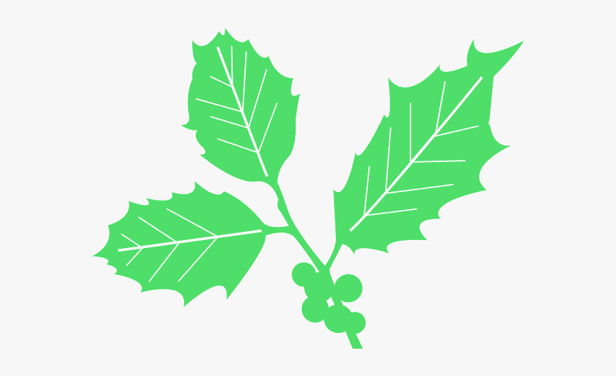 Holly Leaves Silhouette, Transparent Clipart
