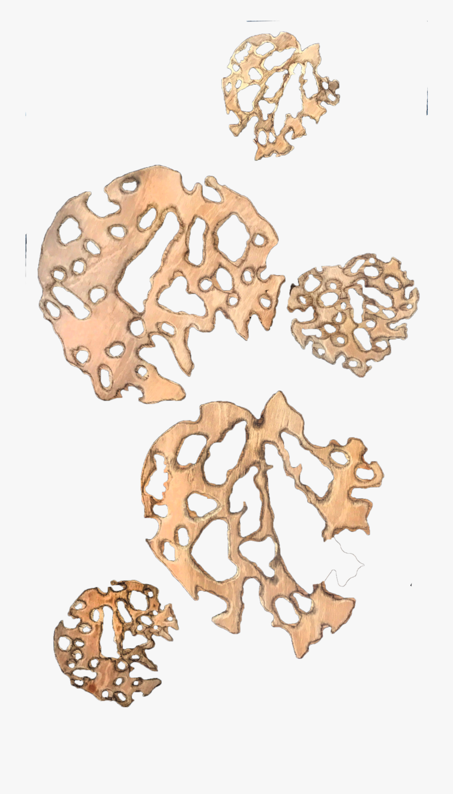 Plywood Sculpture - Illustration, Transparent Clipart