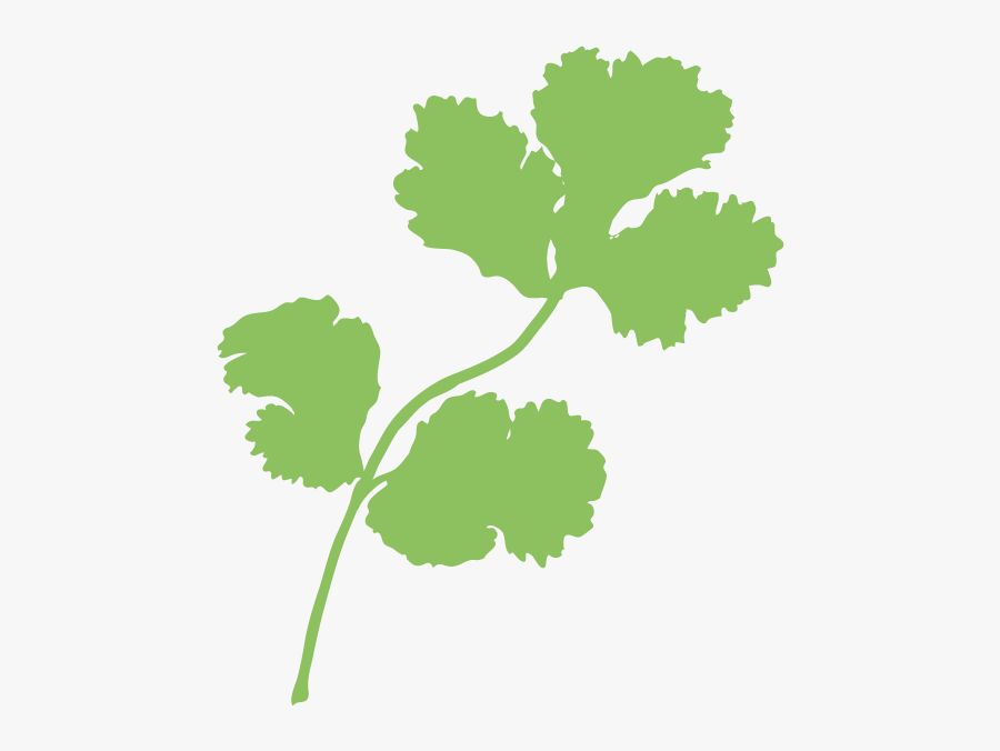 Clip Art Clipart Ourclipart Pin - Cilantro Vector Png, Transparent Clipart